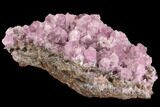 Cobaltoan Calcite Crystal Cluster - Bou Azzer, Morocco #90326-1